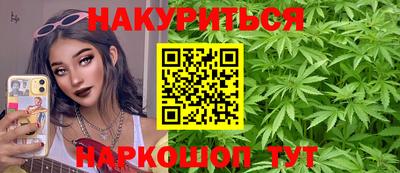 гидропоника Можга