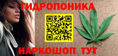 гидропоника Можга